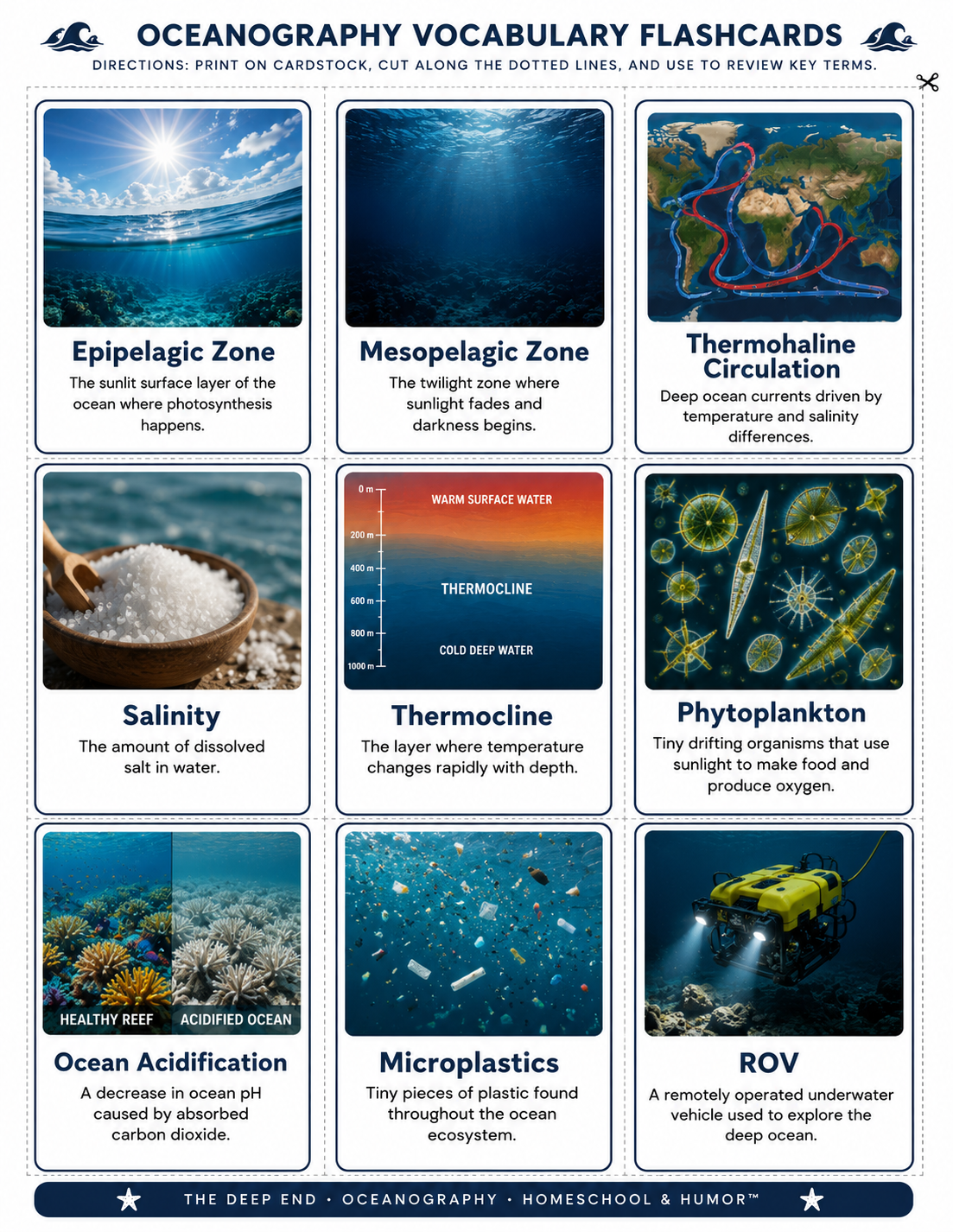 The Deep End: Oceanography Unit Study for Grades 6–12 - Homeschool and Humor