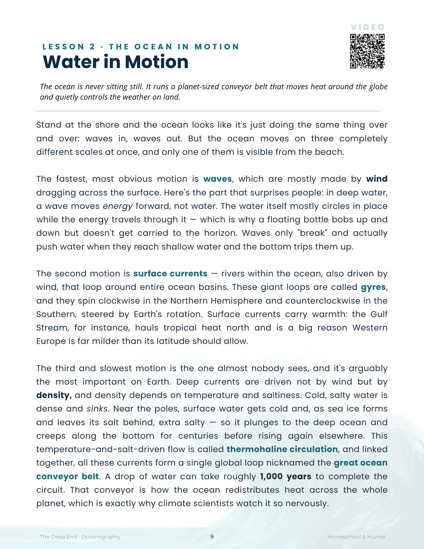 The Deep End: Oceanography Unit Study for Grades 6–12 - Homeschool and Humor