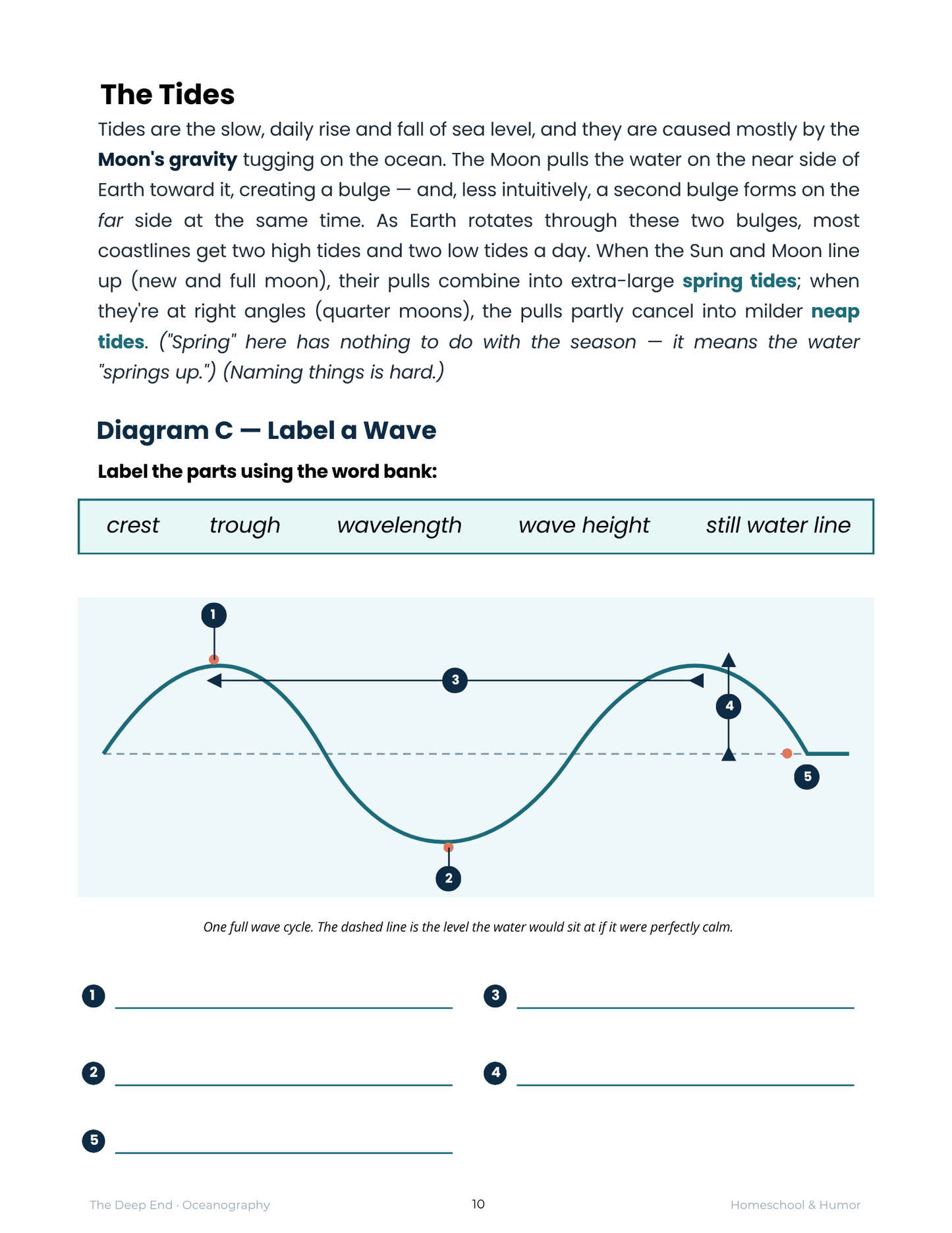 The Deep End: Oceanography Unit Study for Grades 6–12 - Homeschool and Humor