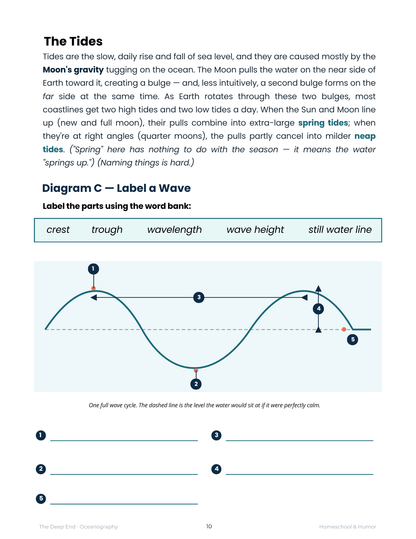 The Deep End: Oceanography Unit Study for Grades 6–12 - Homeschool and Humor