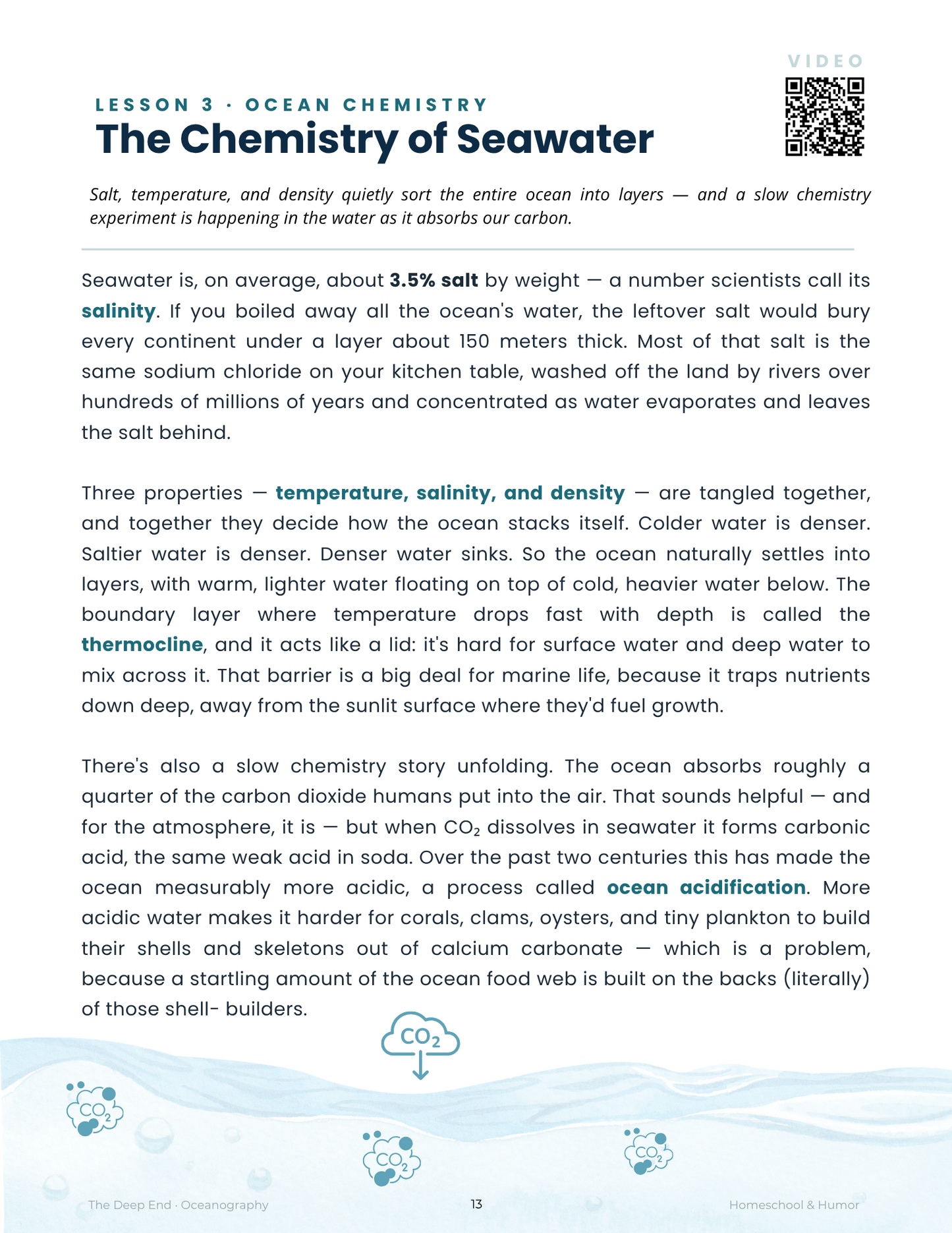 The Deep End: Oceanography Unit Study for Grades 6–12 - Homeschool and Humor