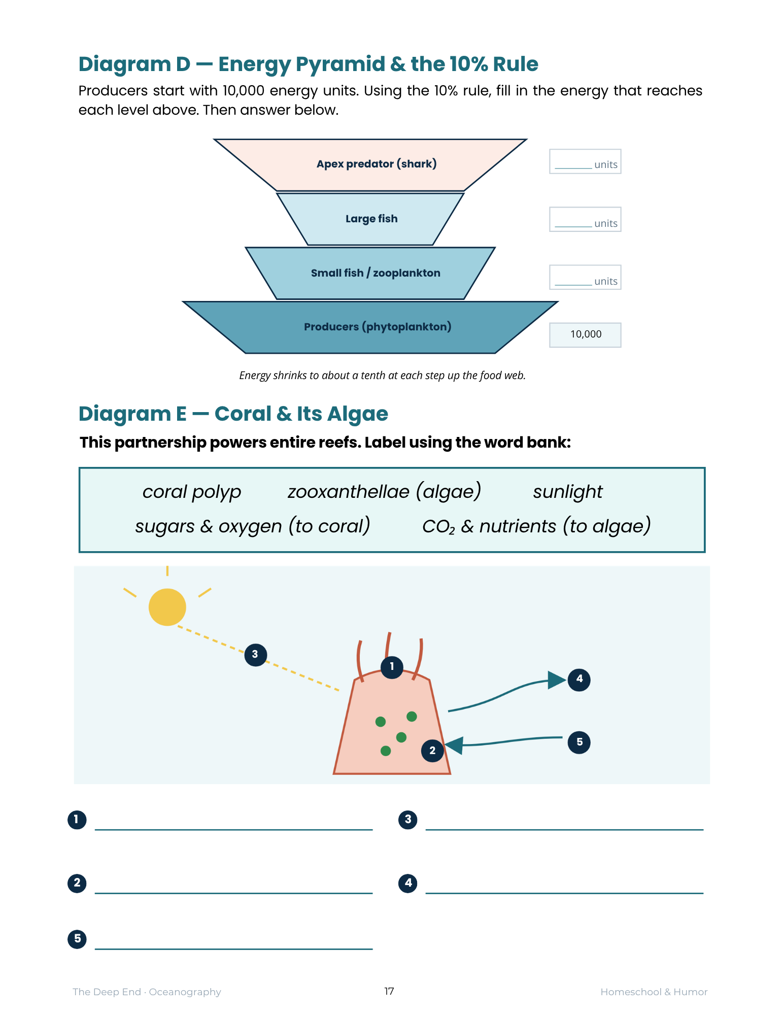The Deep End: Oceanography Unit Study for Grades 6–12 - Homeschool and Humor