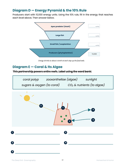 The Deep End: Oceanography Unit Study for Grades 6–12 - Homeschool and Humor