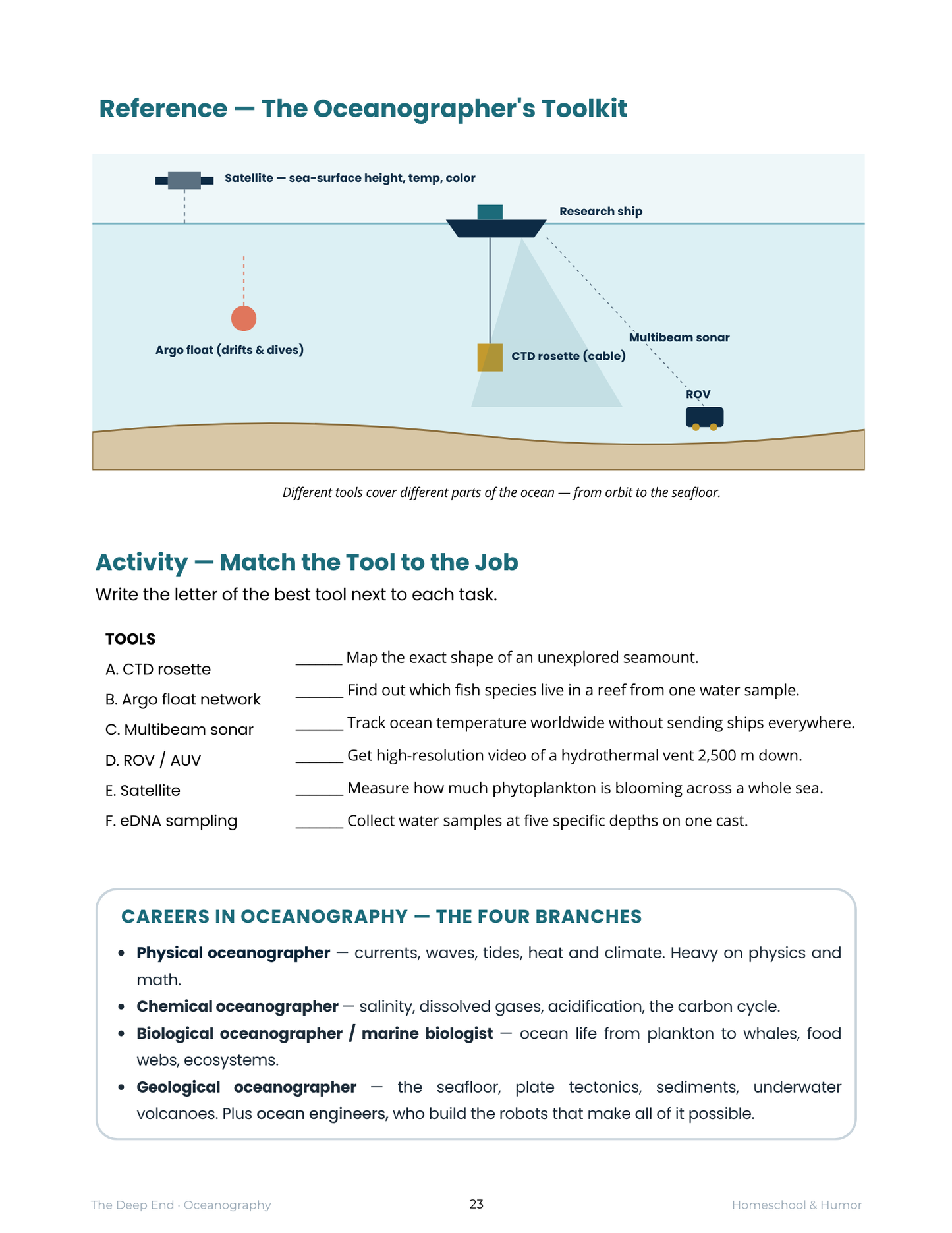 The Deep End: Oceanography Unit Study for Grades 6–12 - Homeschool and Humor