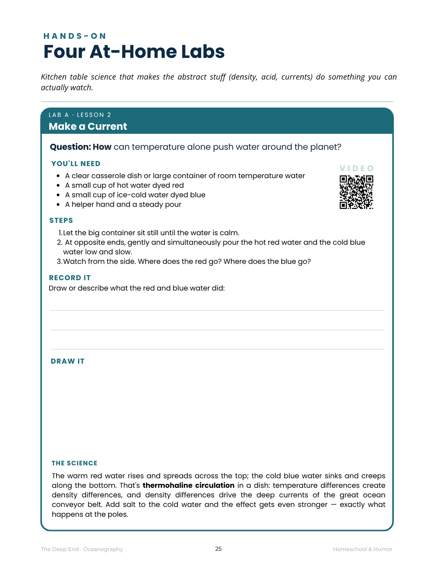 The Deep End: Oceanography Unit Study for Grades 6–12 - Homeschool and Humor