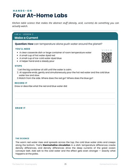 The Deep End: Oceanography Unit Study for Grades 6–12 - Homeschool and Humor