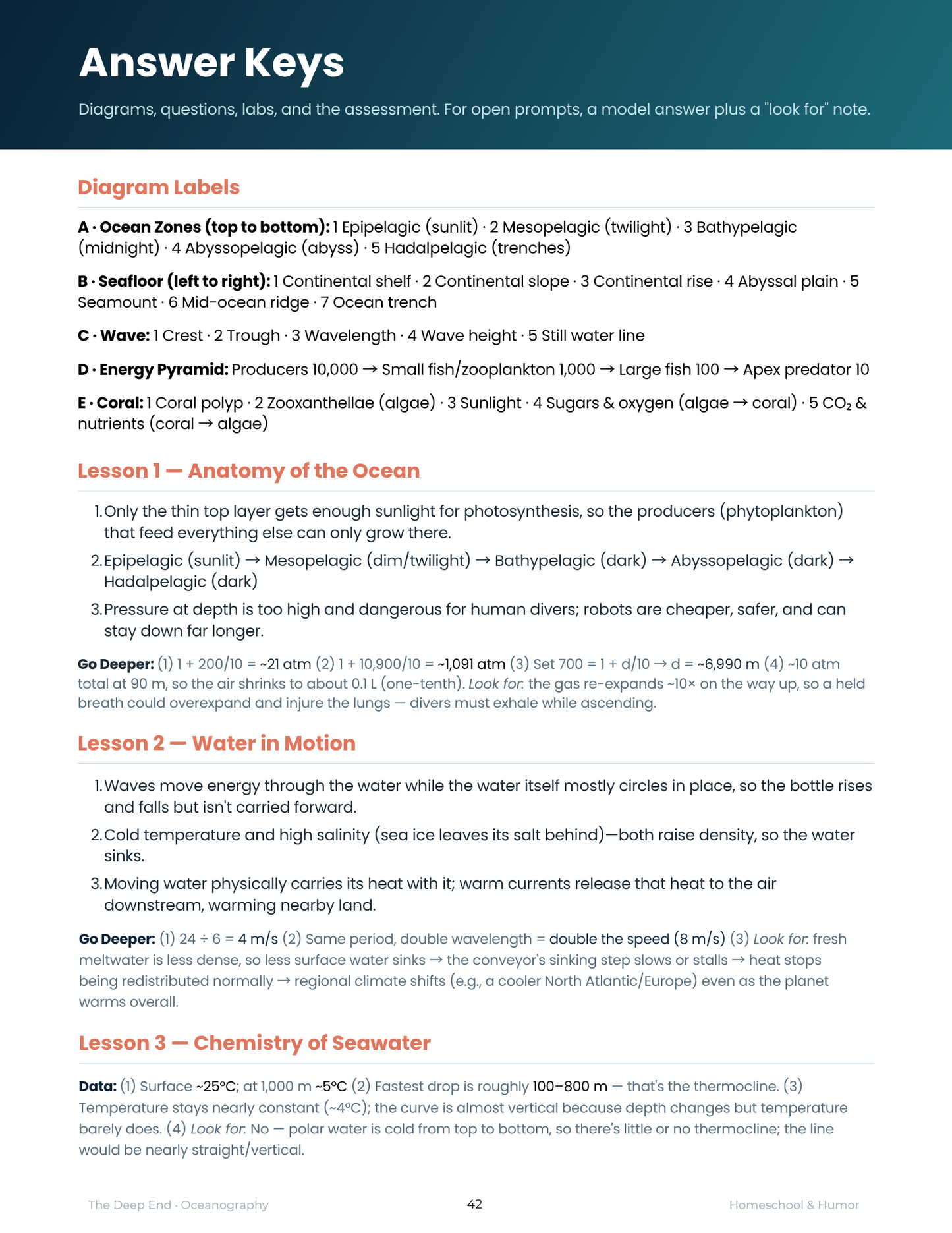 The Deep End: Oceanography Unit Study for Grades 6–12 - Homeschool and Humor