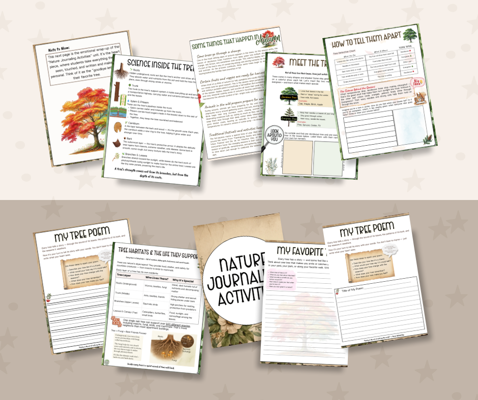 Autumn Activities For Kids: Falling For Trees Nature Study Resource Pack