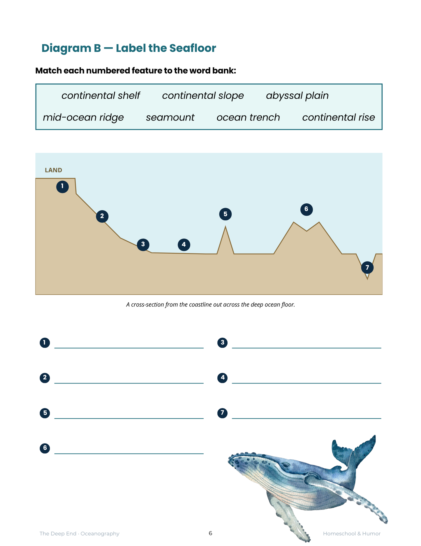 The Deep End: Oceanography Unit Study for Grades 6–12 - Homeschool and Humor