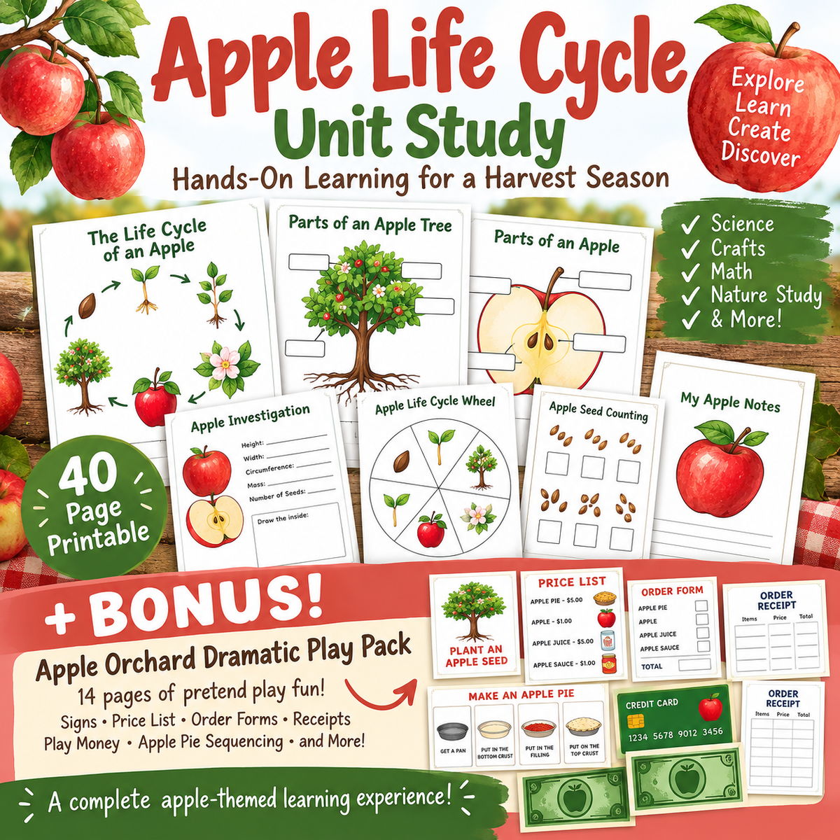 Apple Life Cycle 1