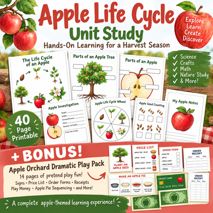 Apple Life Cycle 1