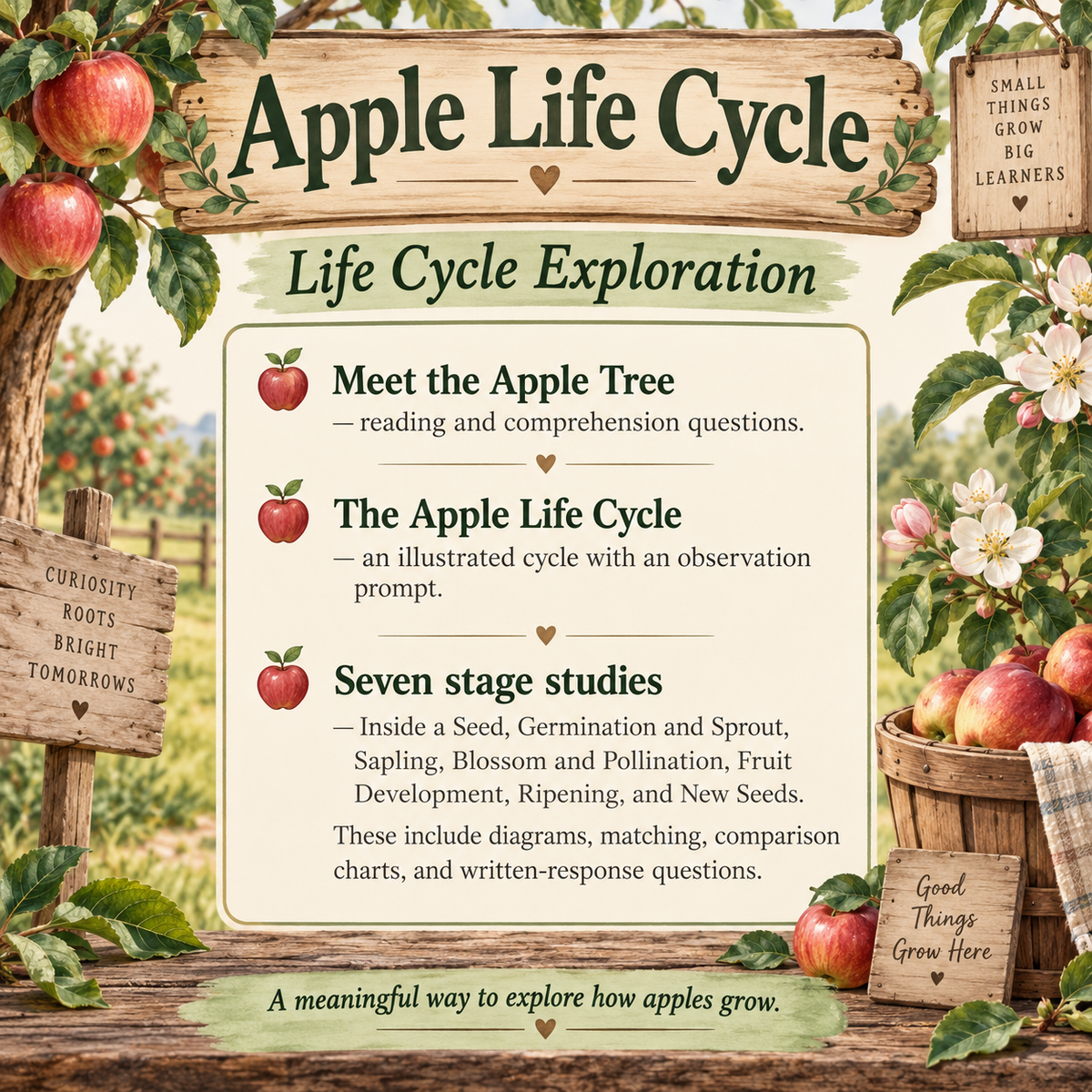 life cycle exploration