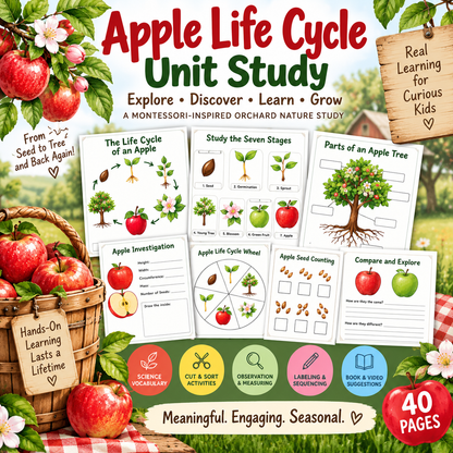 Apple Life Cycle