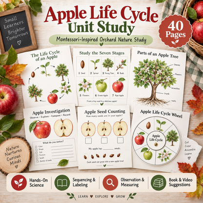 Apple Life Cycle