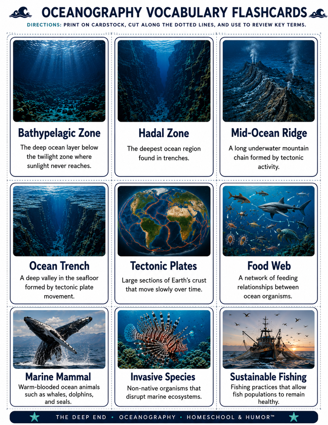 The Deep End: Oceanography Unit Study for Grades 6–12 - Homeschool and Humor