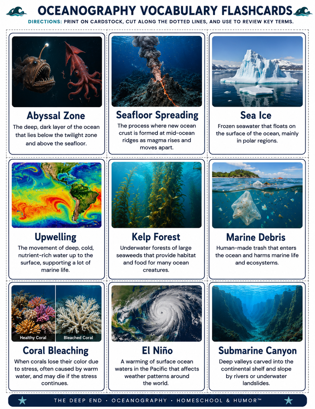 The Deep End: Oceanography Unit Study for Grades 6–12 - Homeschool and Humor