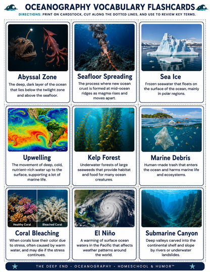 The Deep End: Oceanography Unit Study for Grades 6–12 - Homeschool and Humor