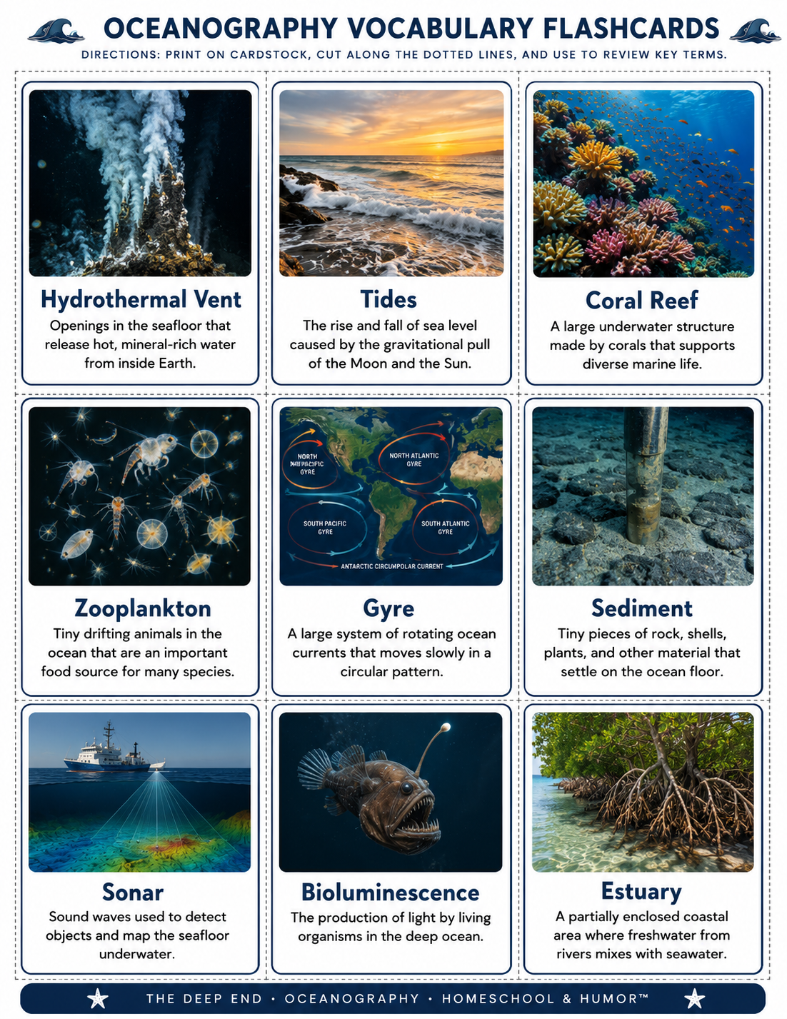 The Deep End: Oceanography Unit Study for Grades 6–12 - Homeschool and Humor