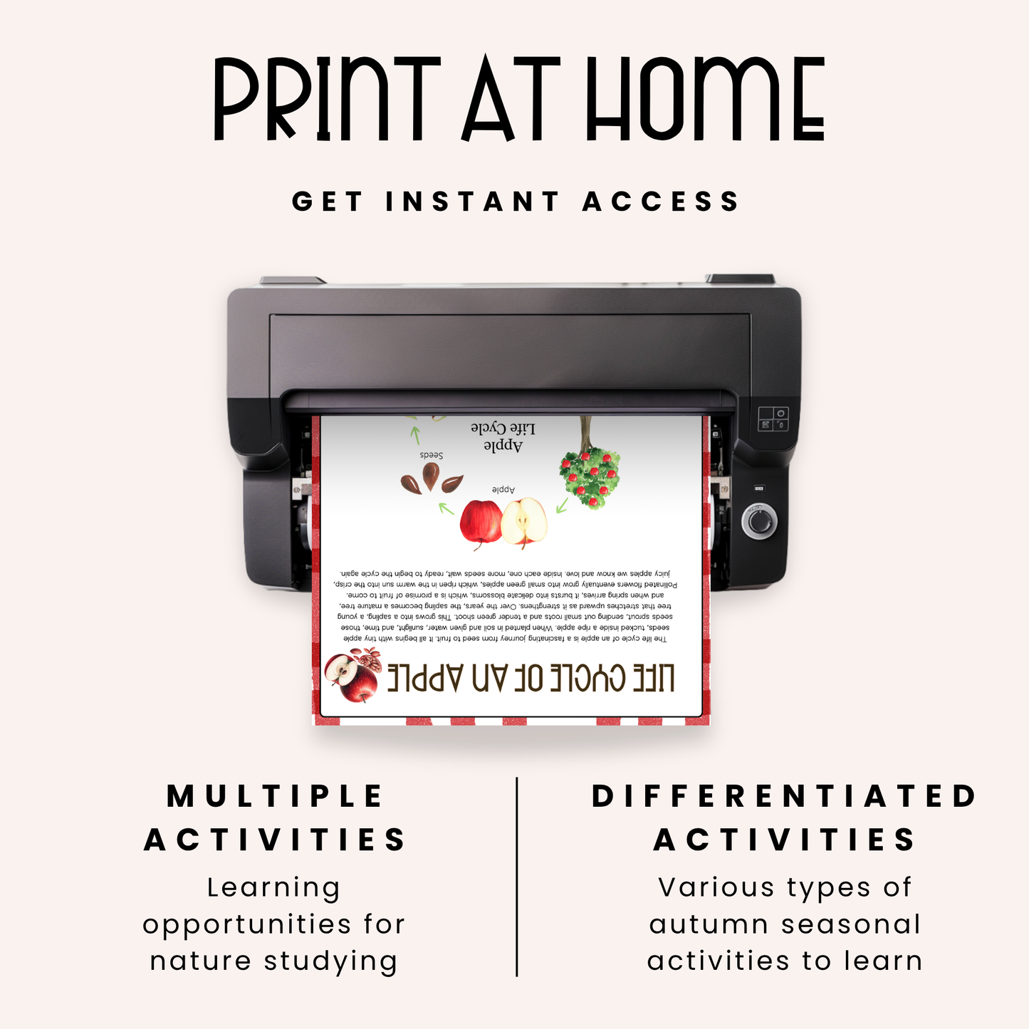 Autumn Activities For Kids: Falling For Trees Nature Study Resource Pack