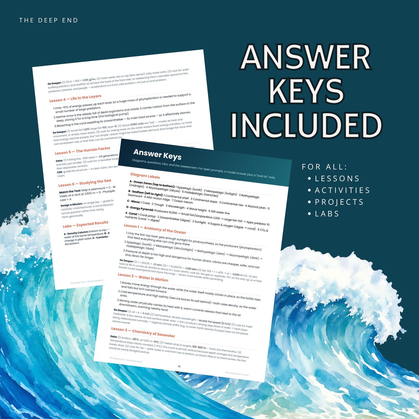 The Deep End: Ocean Unit Study for Grades 6–12 - Homeschool and Humor