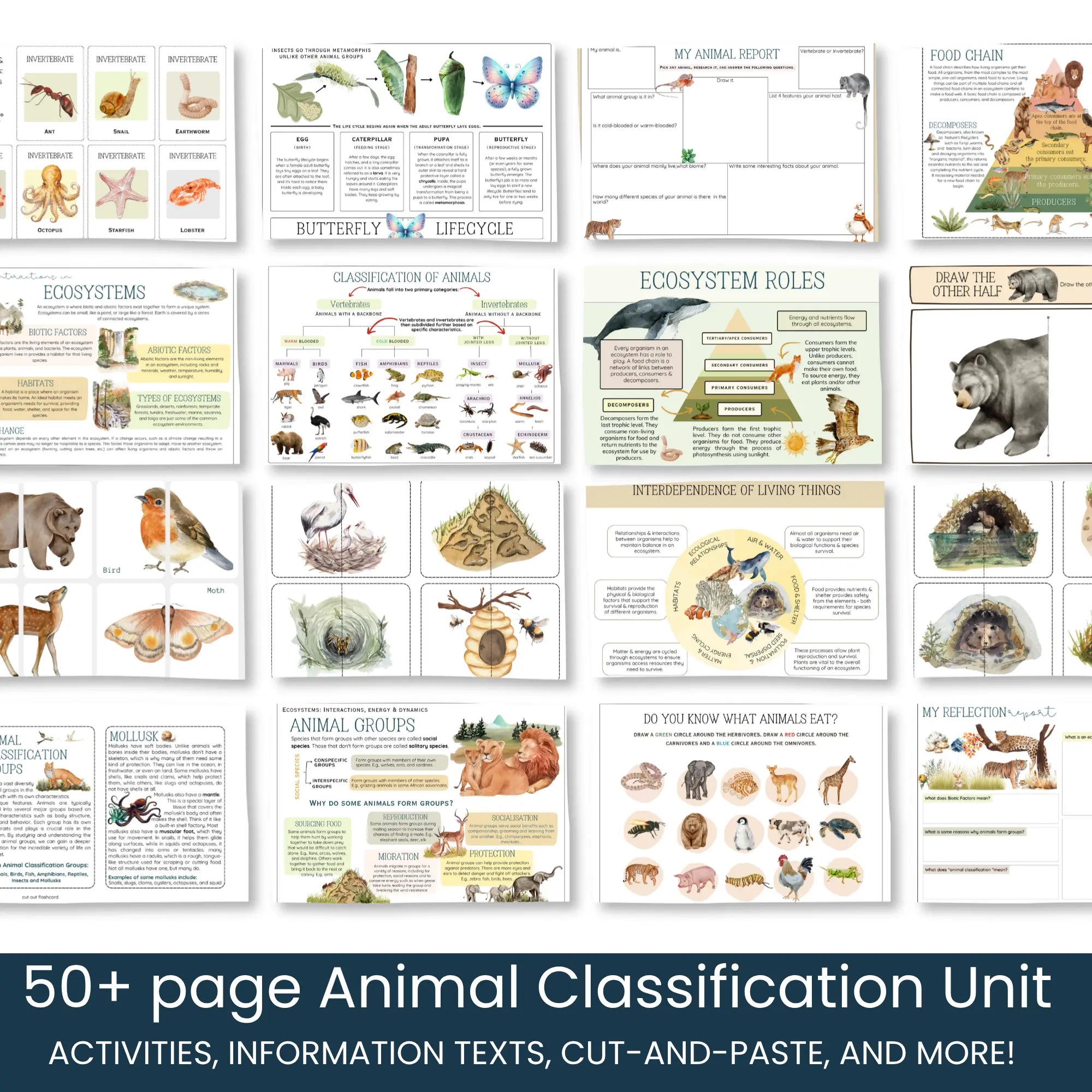Animal Classification Unit Study | Animal Classification Activities ...