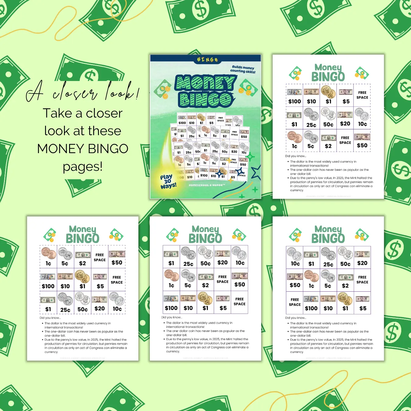 Money Bingo Cards for Kids Homeschool and Humor