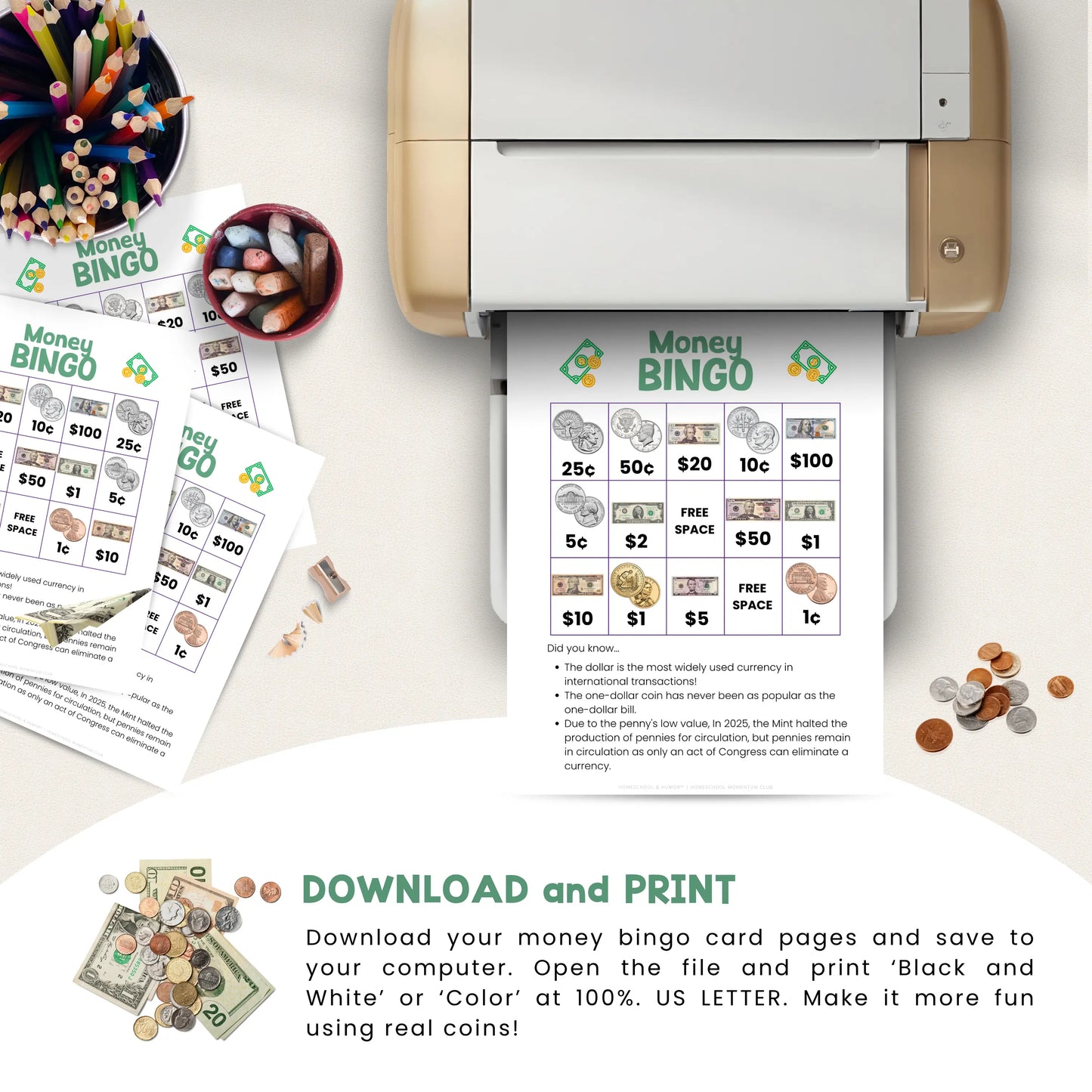 Money Bingo Cards for Kids Homeschool and Humor