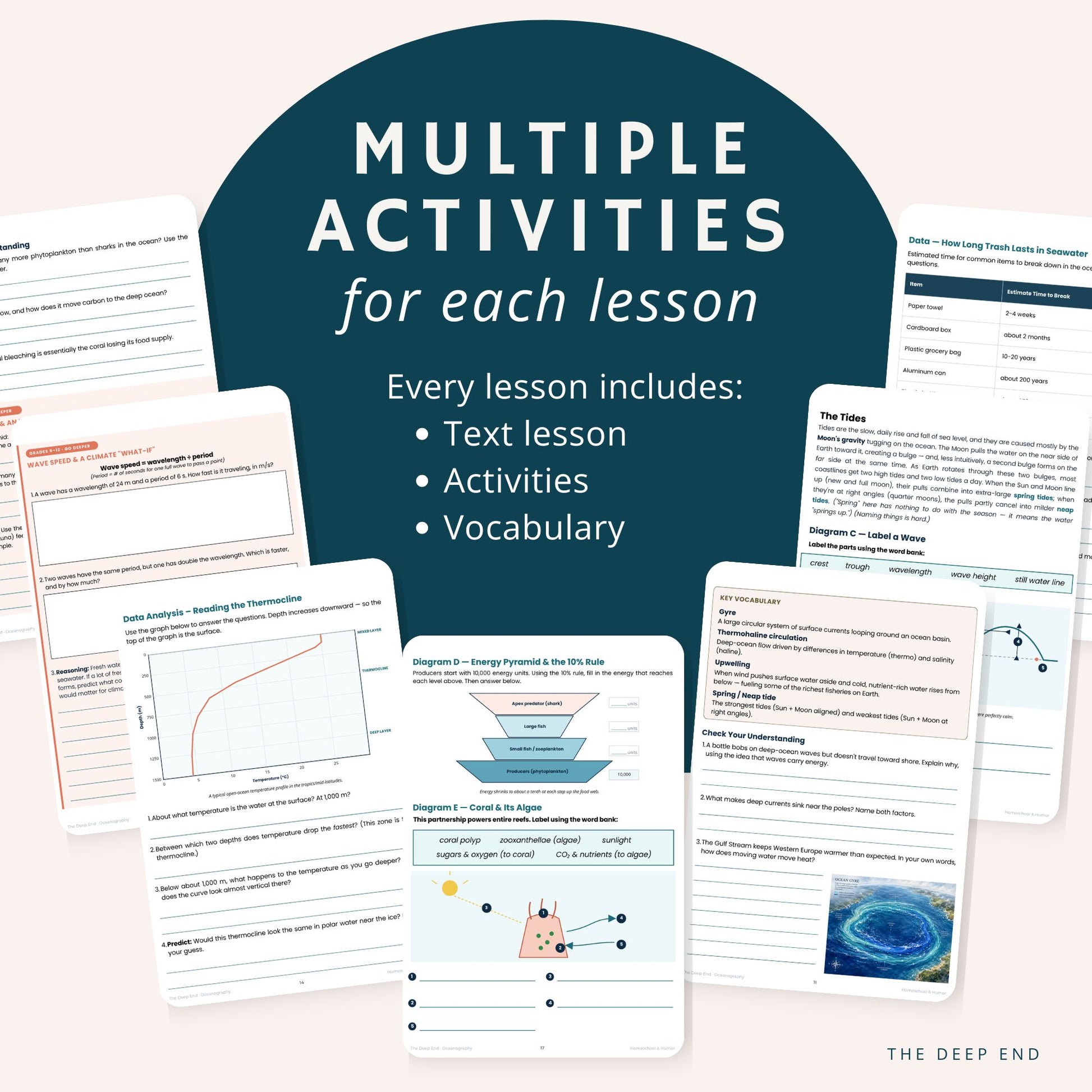 Promotional graphic for an educational activity bundle, showing multiple printed worksheet pages fanned out around a large dark teal title card that reads 'MULTIPLE ACTIVITIES for each lesson' with bullet points about text lesson, activities, and vocabulary. The pages contain lesson content, charts, diagrams, and small images.