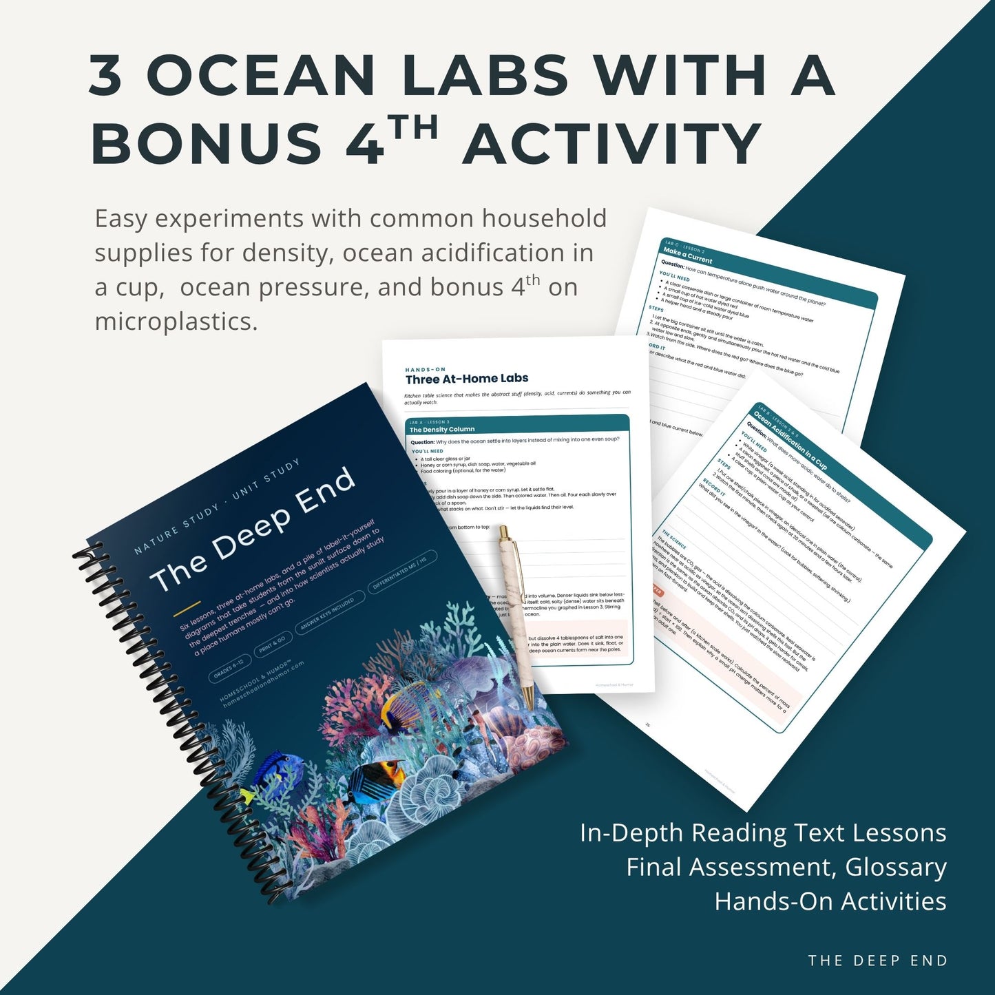 The Deep End: Ocean Unit Study for Grades 6–12 - Homeschool and Humor