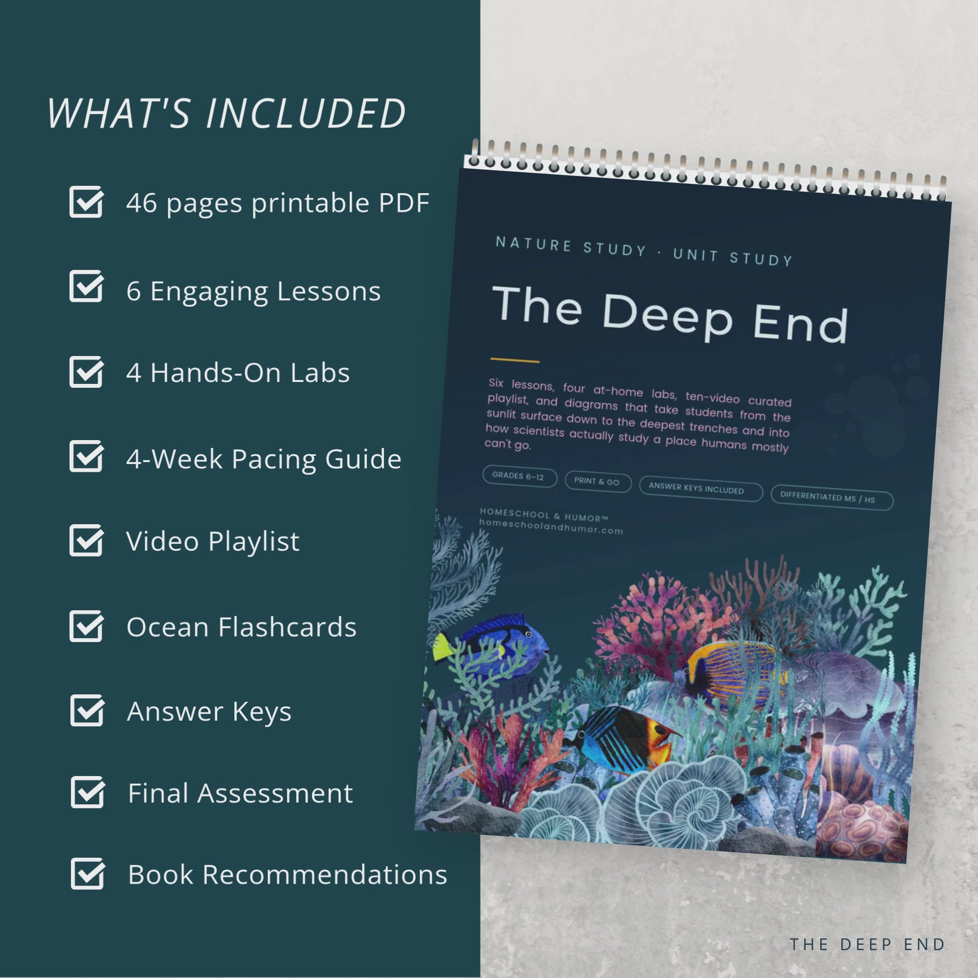 The Deep End: Oceanography Unit Study for Grades 6–12 - Homeschool and Humor